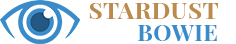 stardustforbowie.be logo